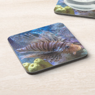 Lionfish Coaster