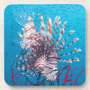 Lionfish Hard Plastic Coasters (set of 6)