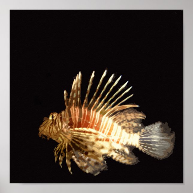 Lionfish in the dark poster (Front)