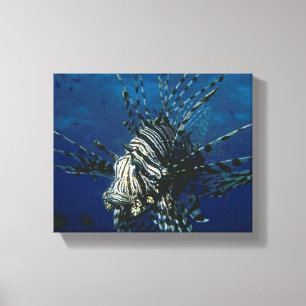 Lionfish in the Ocean Canvas Print