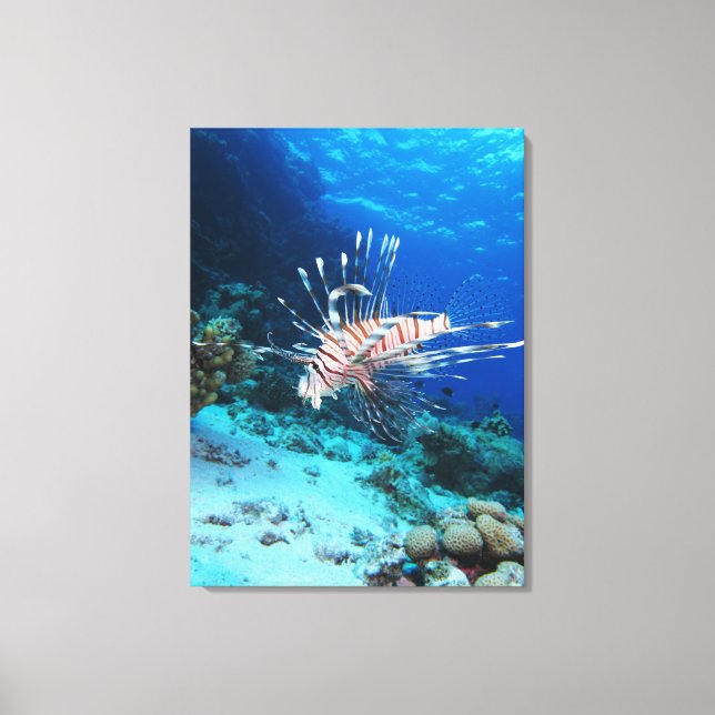 Lionfish or Pterois Miles, Ocean Reef Fish Canvas Print (Front)