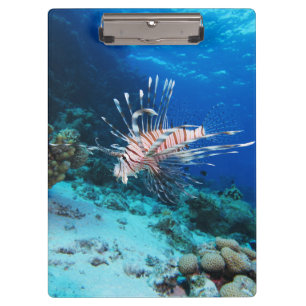 Lionfish or Pterois Miles, Ocean Reef Fish Clipboard