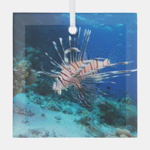 Lionfish or Pterois Miles, Ocean Reef Fish Glass Ornament