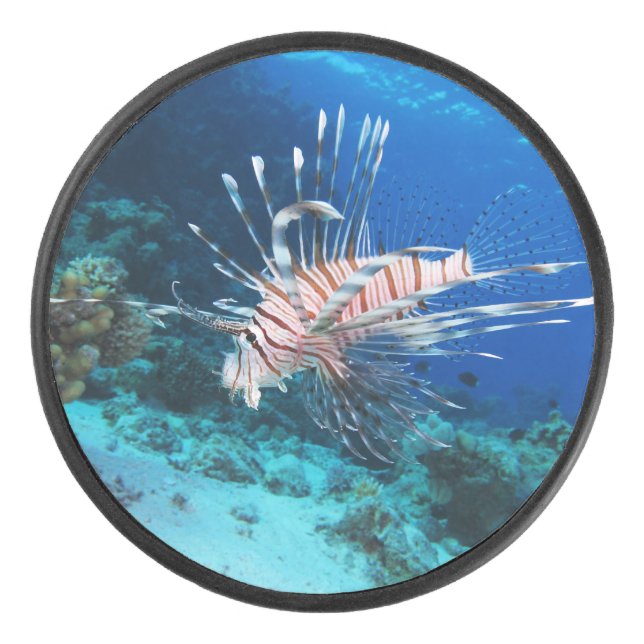 Lionfish or Pterois Miles, Ocean Reef Fish Hockey Puck (Front)