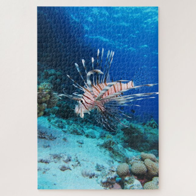 Lionfish or Pterois Miles, Ocean Reef Fish Jigsaw Puzzle (Vertical)