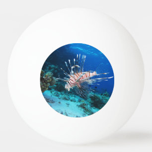 Lionfish or Pterois Miles, Ocean Reef Fish Ping Pong Ball