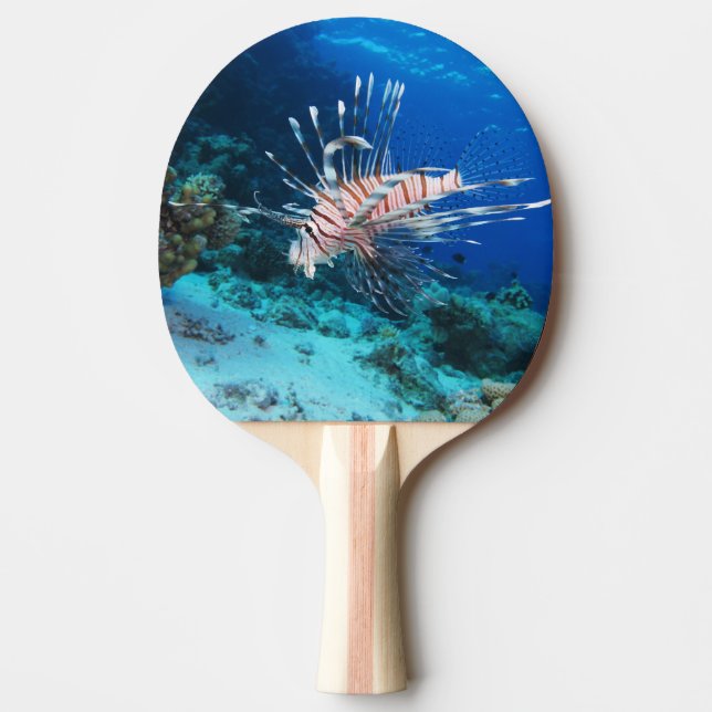 Lionfish or Pterois Miles, Ocean Reef Fish Ping Pong Paddle (Front)