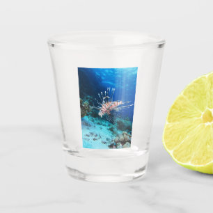 Lionfish or Pterois Miles, Ocean Reef Fish Shot Glass