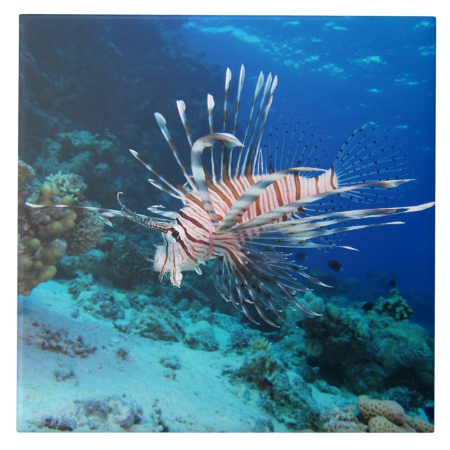 Lionfish or Pterois Miles, Ocean Reef Fish Tile (Front)