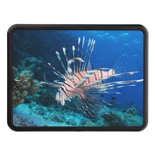 Lionfish or Pterois Miles, Ocean Reef Fish Trailer Hitch Cover (Front)
