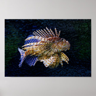 Lionfish Print