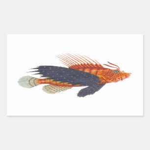Lionfish - Pterois - Lion Fish Antique Engraving Sticker