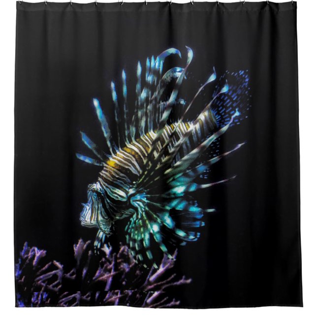 Lionfish swims (Front)