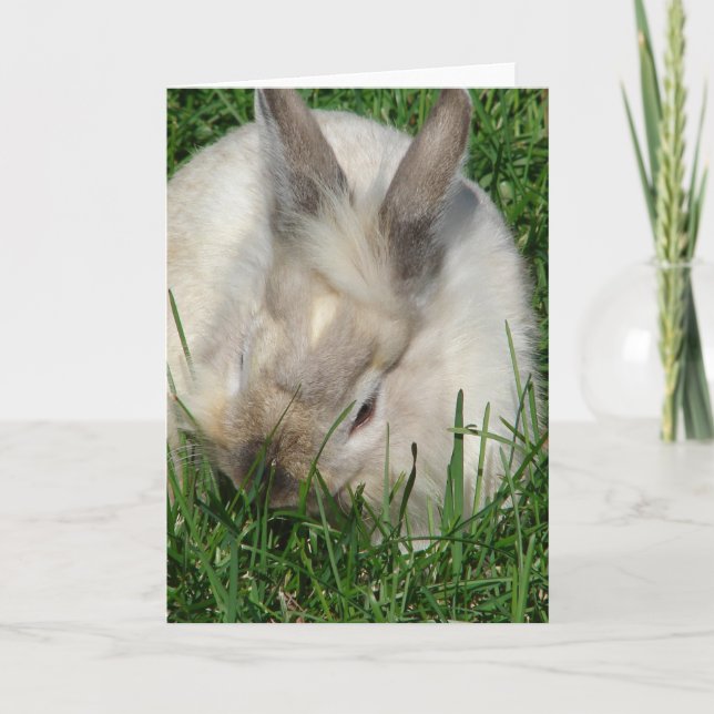 Lionhead Bunny All Occasions Card (Front)