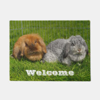 Lionhead Holland Mini Lop Bunny Rabbit