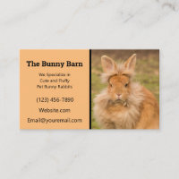 Lionhead Rabbit Breeder Business Card