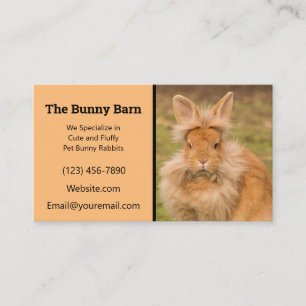 Lionhead Rabbit Breeder Carte de visite