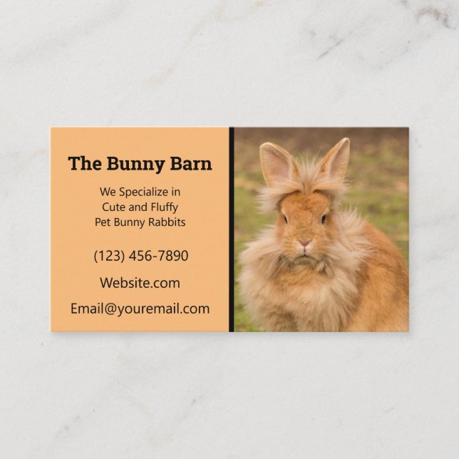 Lionhead Rabbit Breeder Carte de visite (Devant)