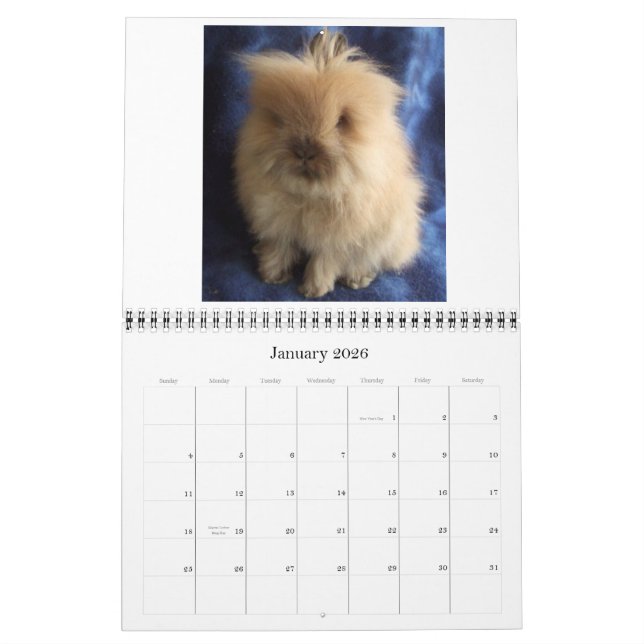 Lionhead Rabbits 2009-2010 Calendar (Jan 2026)
