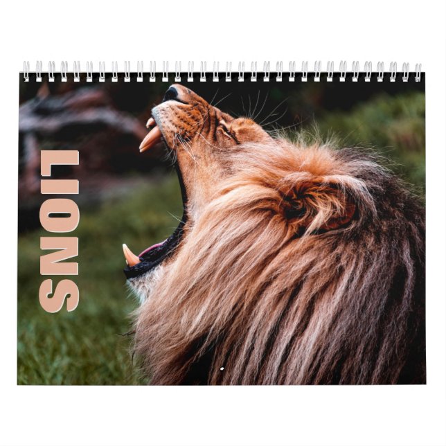 Lions [2] Calendrier mural (Protection)