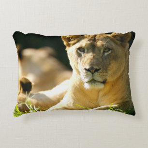 Lions Accent Pillow
