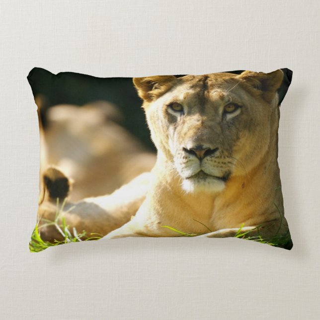 Lions Accent Pillow (Front)