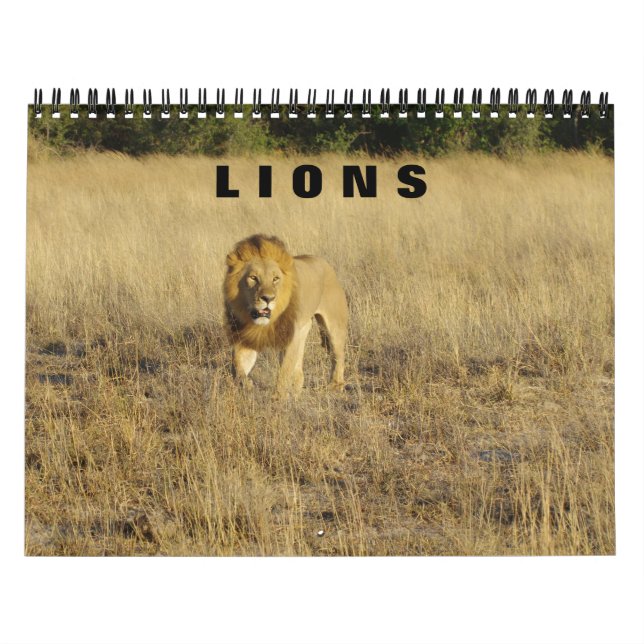 LIONS  - ALL LIONS CALENDAR (Cover)