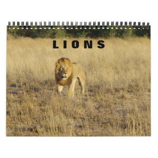 LIONS - ALL LIONS CALENDAR