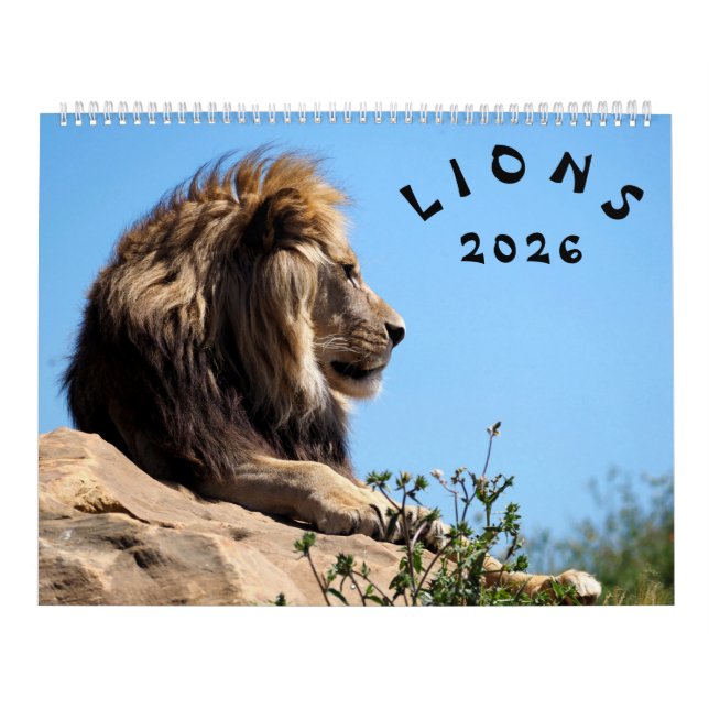 Lions Calendrier (Protection)