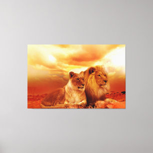Lions Canvas Print
