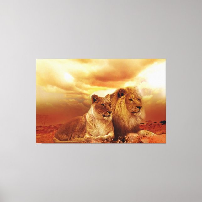 Lions Canvas Print (Front)