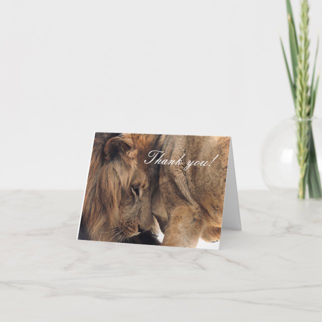 Lions d'amour - Cartes de remerciements (Devant)