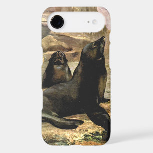 Lions de la mer de Californie vintage par CE Swan