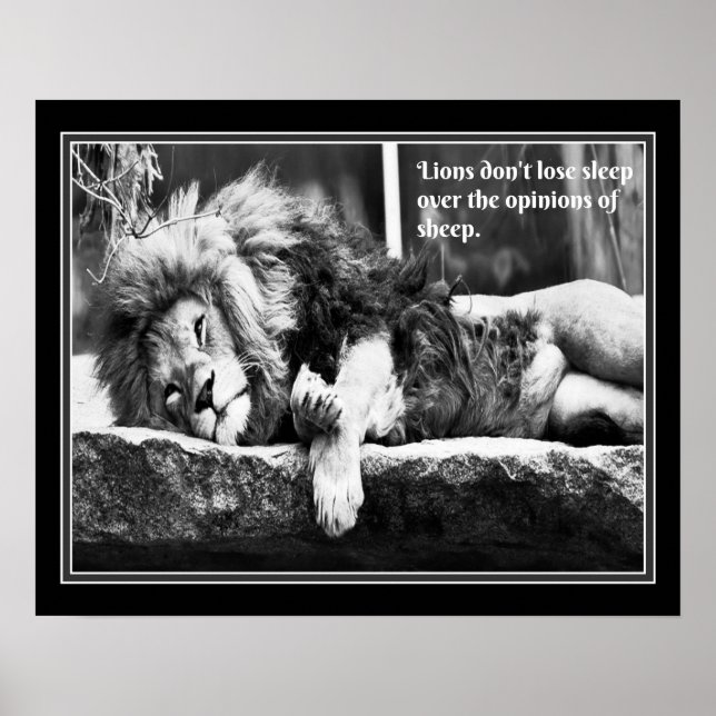 Lions don't lose sleep over the opinions of sheep- poster (Front)