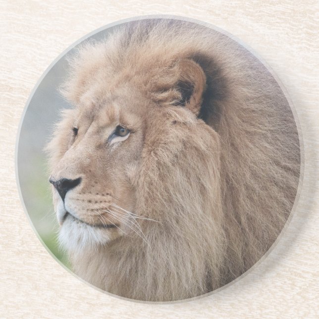 Lion's Embrace Coaster (Front)