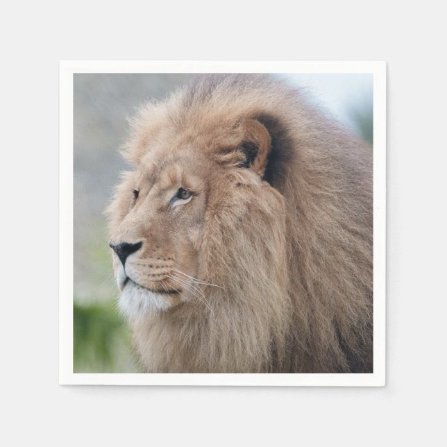 Lion's Embrace Napkin (Front)