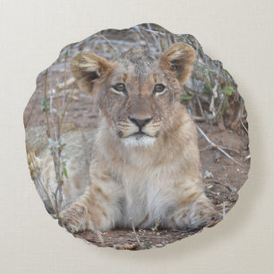 Lions Everywhere Pillow