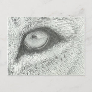 Lion's Eye   Customizable Postcard