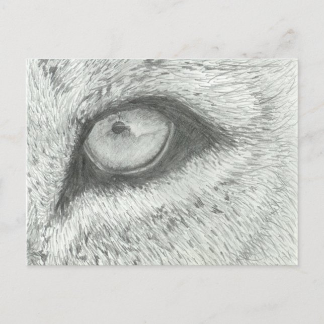 Lion's Eye | Customizable Postcard (Front)