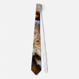 Lions eye ties