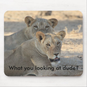 Lions funny mouse pad
