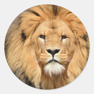 Lions Head Classic Round Sticker
