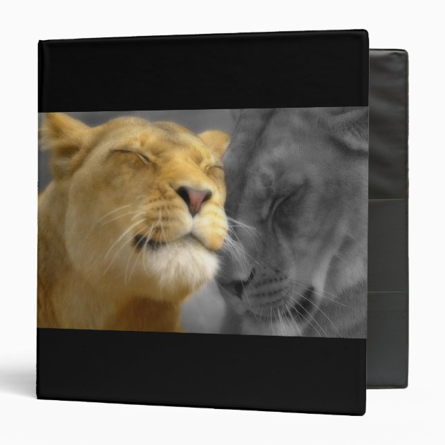 Lions in Love Binder (Front/Inside)