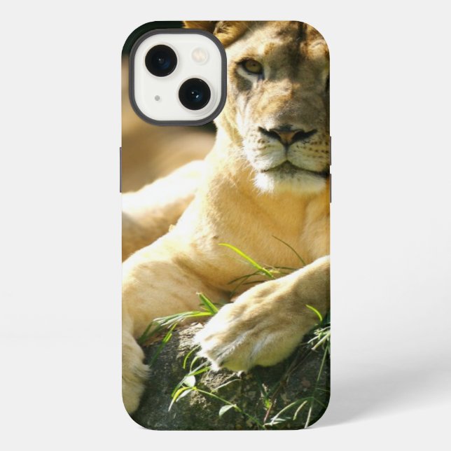 Lions iPhone Case (Back)