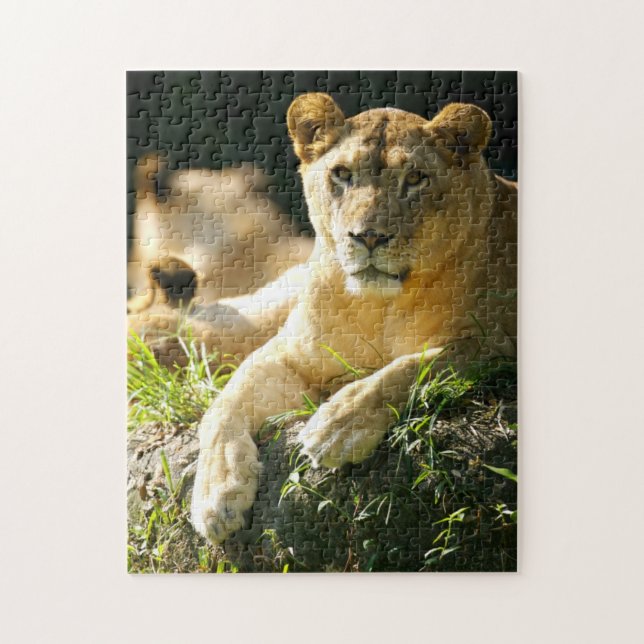 Lions Jigsaw Puzzle (Vertical)