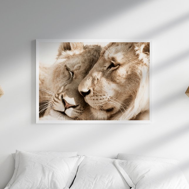 Lions Love Safari Animaux Photographie Poster (Lions Love Safari Animals Photography Poster in a white boho bedroom.)