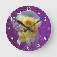 Lion's Mane Jellyfish