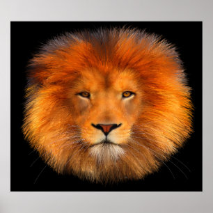 Lion's Mane Poster Art