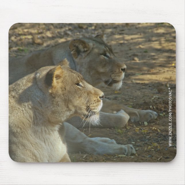 Lions Mousepad (Front)