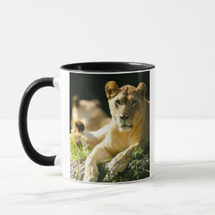 Lions Mug